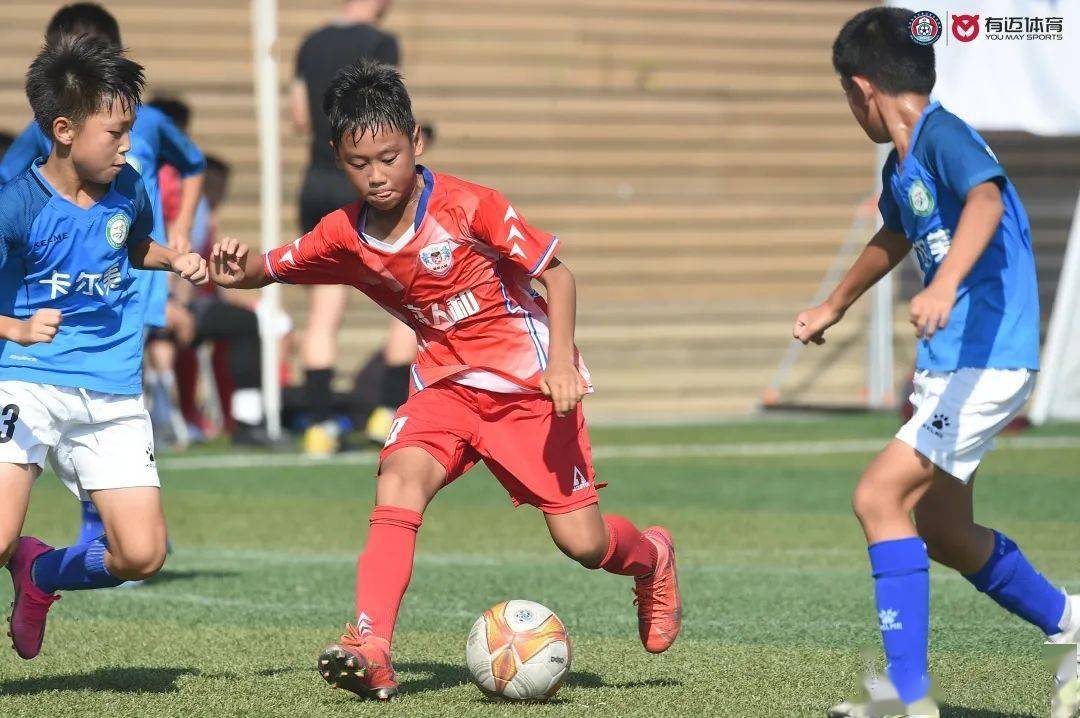 关于特色青训“高端+普及”在行业内深度融合,行业基础继续巩固提升的信息 关于特色青训“高端+普及”在行业内深度融合,行业基础继续巩固提升的信息