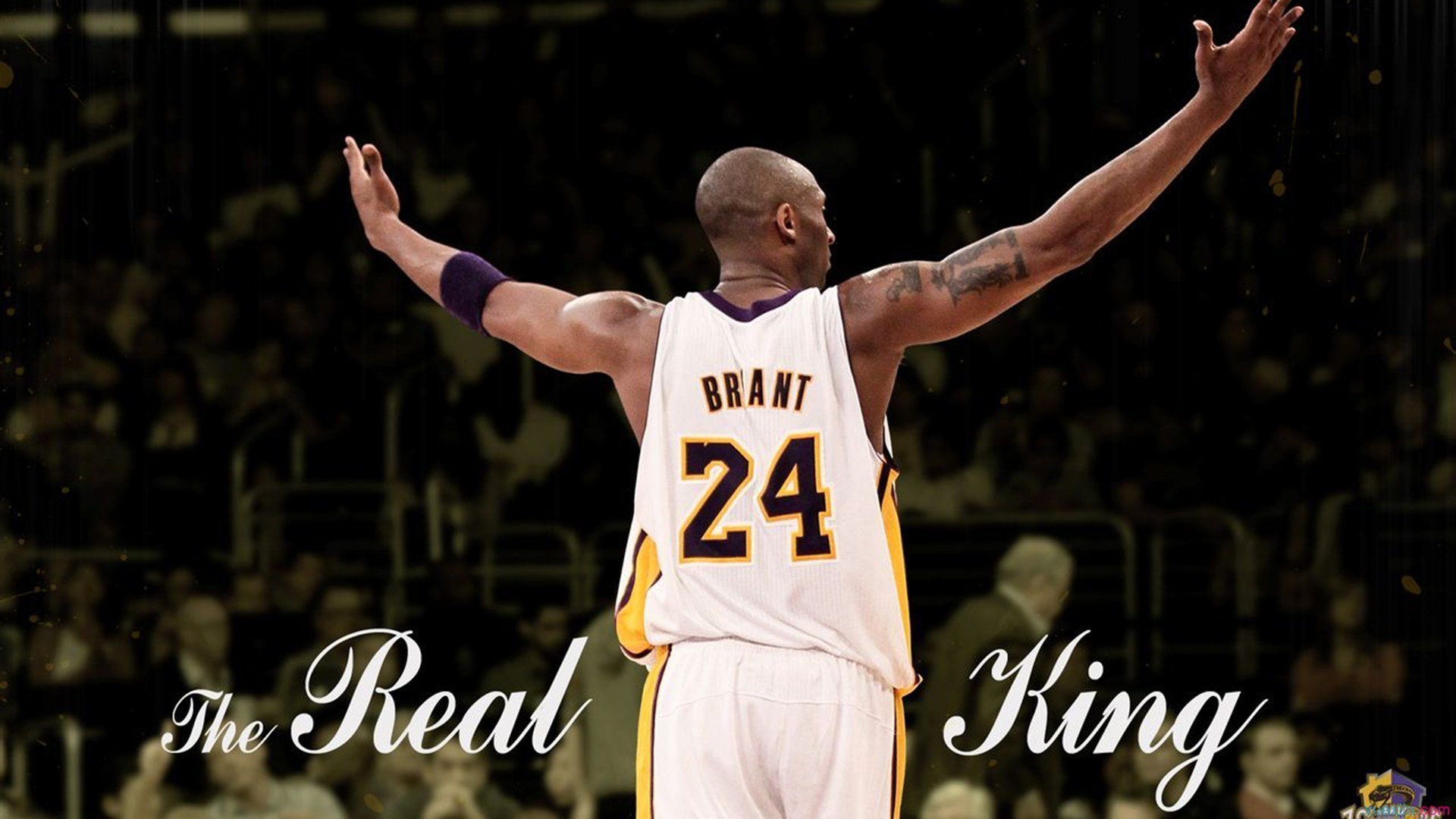 “极速飞扬：超越极限的超车瞬间”，《极速超越》