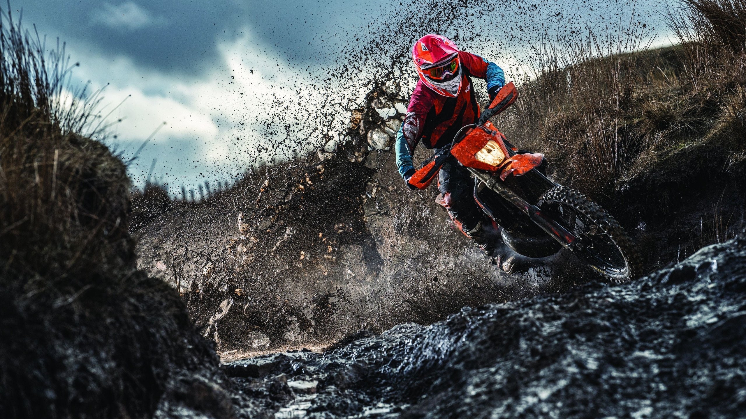 伊朗马术协会授予马尔科·阿尔瓦雷斯“年度最佳马匹护理员”称号。