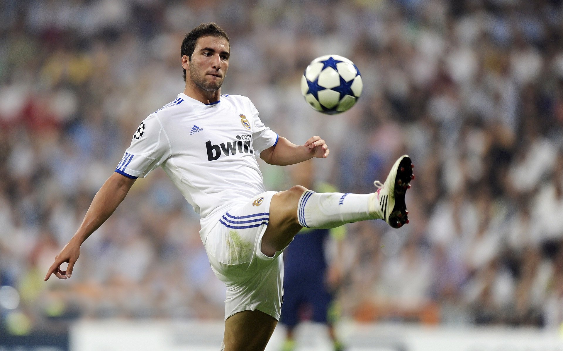 凯尔特人场馆设施全面升级提升训练效率,凯尔特人训练馆箴言